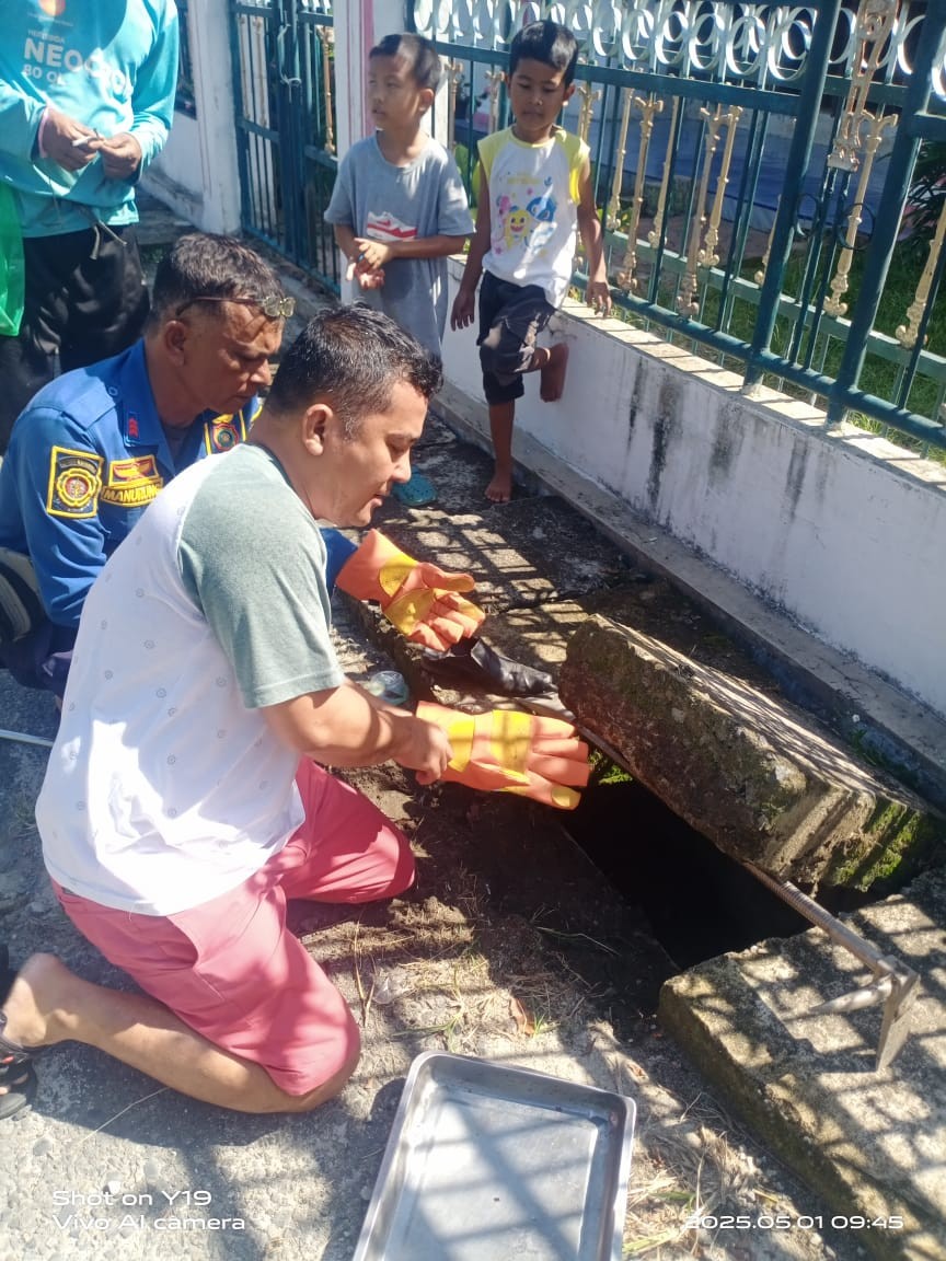 evakuasi Anak anjing yang terjebak di dalam parit yang beralamat di Jl. M. Siregar gg cemara nk. 40