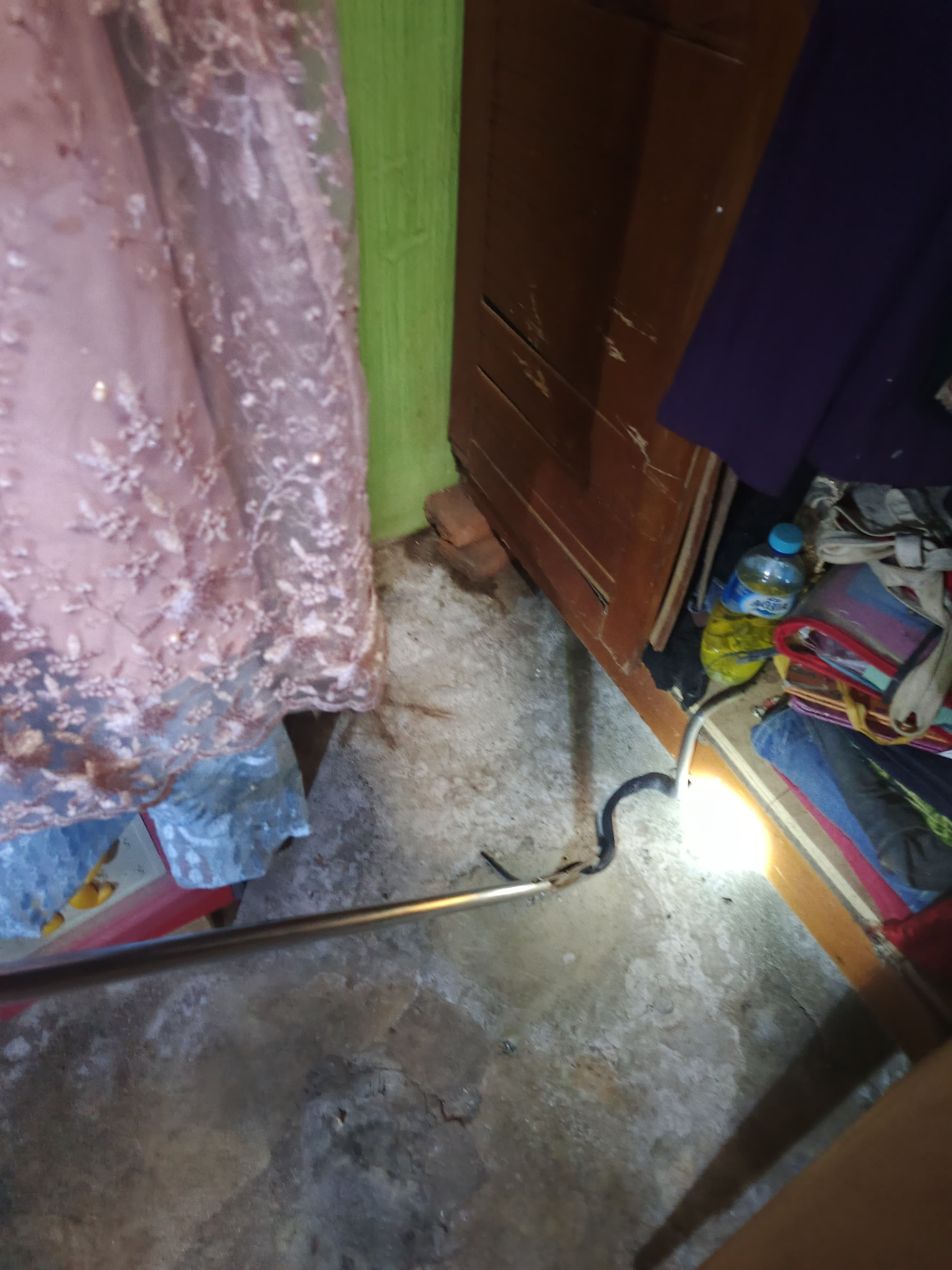 evakuasi Seekor Ular di rumah warga yang beralamat di   Jl. Rakutta Sembiring