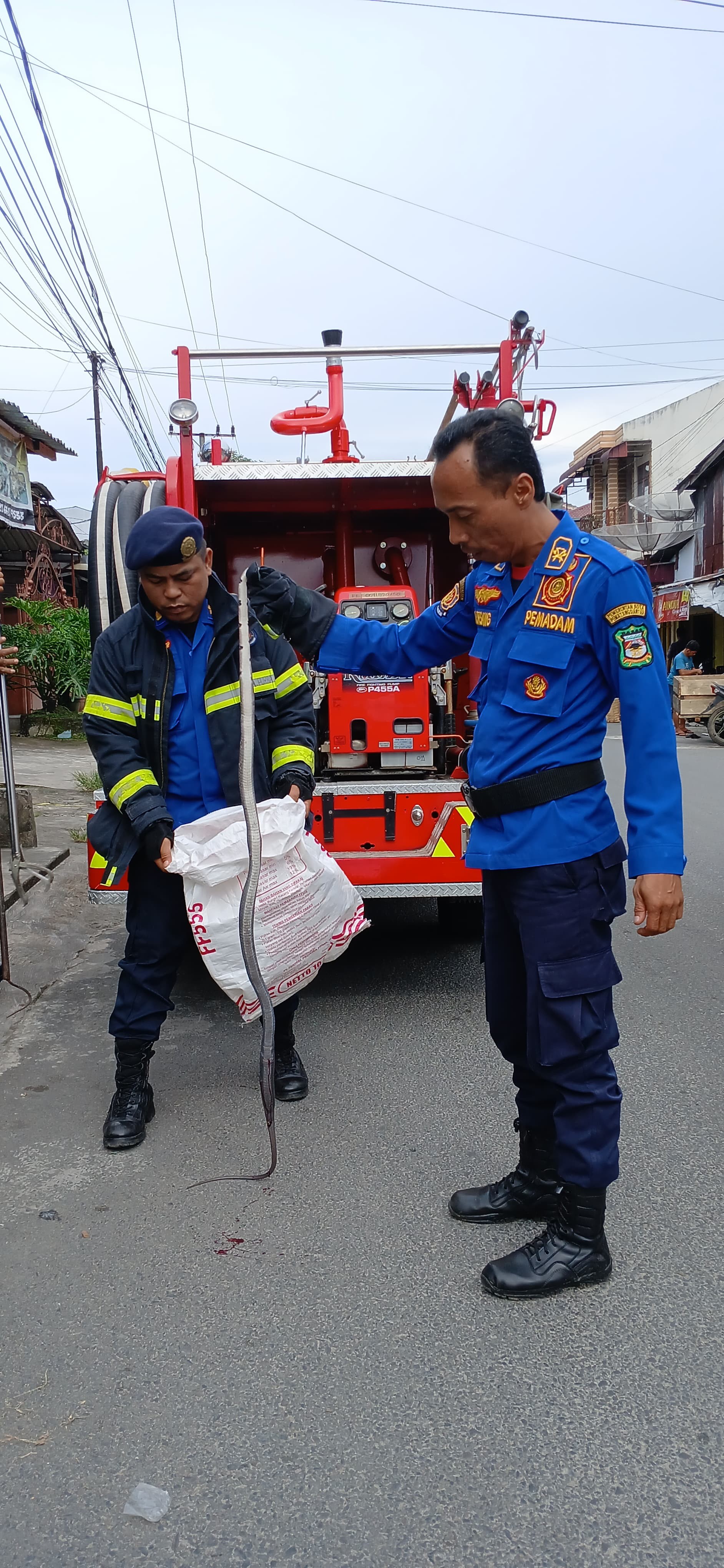 evakuasi Seekor Ular di rumah warga yang beralamat di   Jl. Patuan Anggi