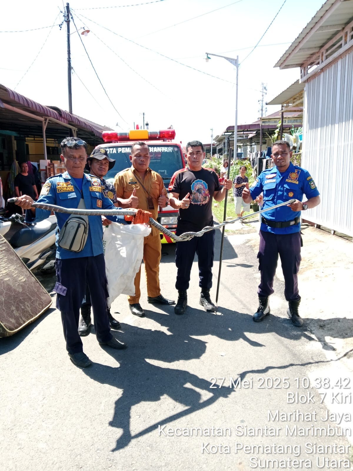evakuasi Seekor Ular di rumah warga yang beralamat di Jl. Melanthon Siregar gg cantik manis ujung