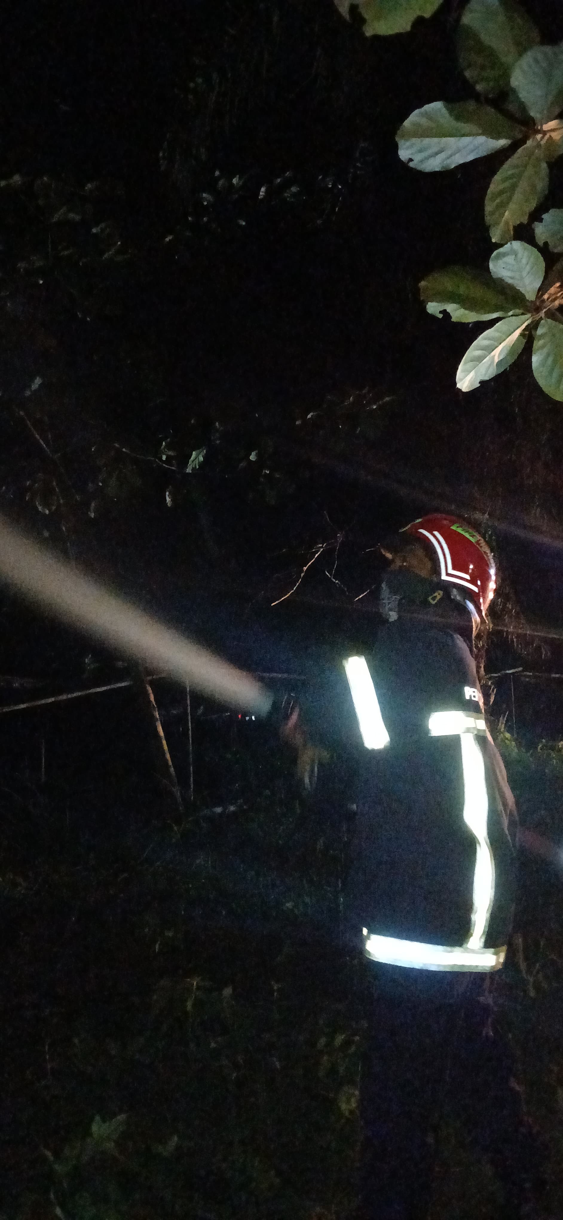 pemadaman kebakaran Pohon Sawit di Jl. Sekolah