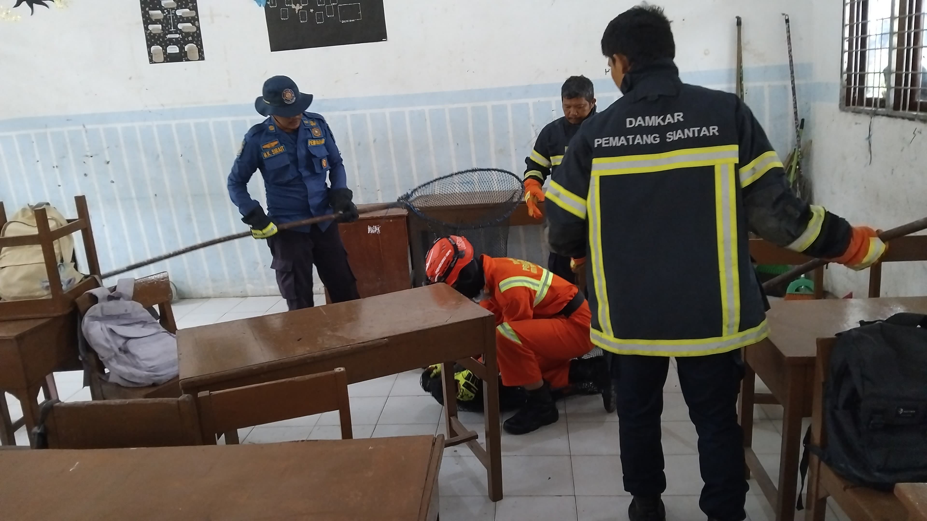 evakuasi seekor monyet di Sekolah SMP Negeri 2 yang beralamat   Jl. Rajamin Purba