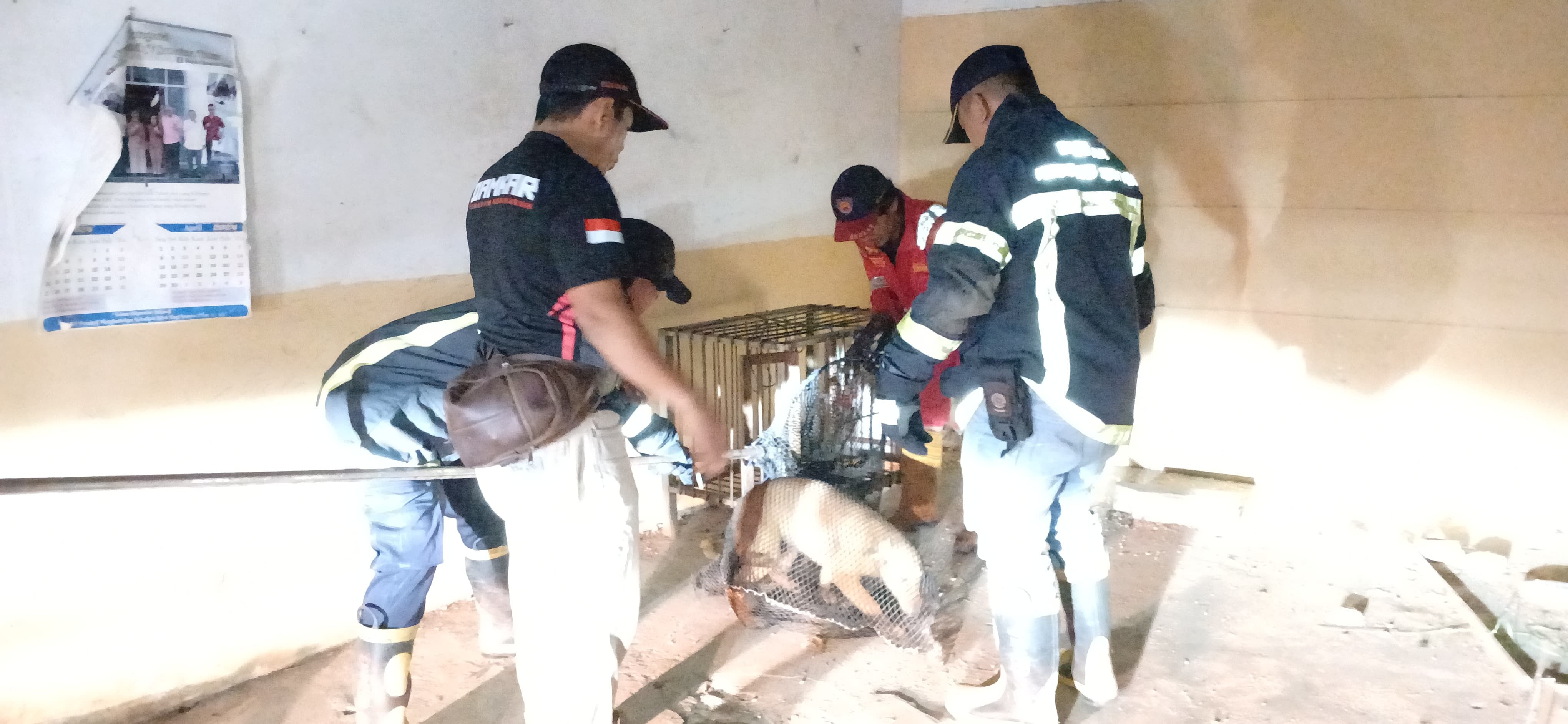 evakuasi seekor anjing peliharaan warga di Jl. Durian