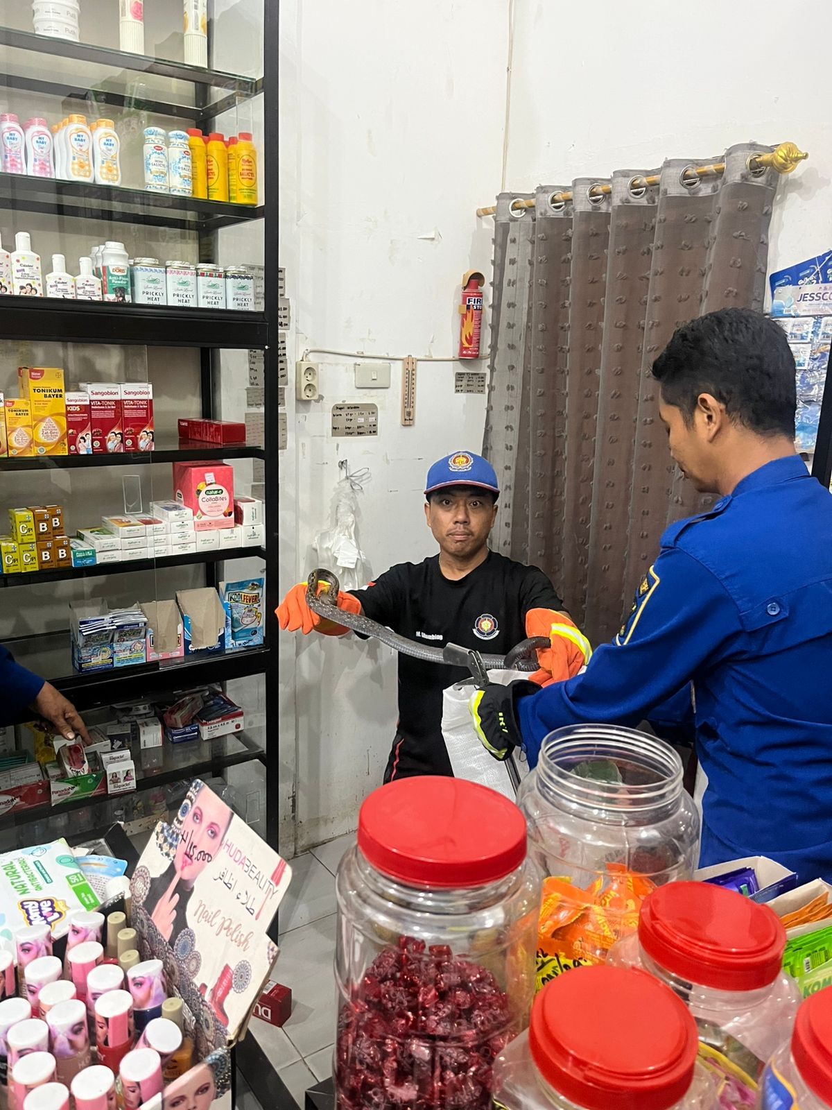 evakuasi seekor ular dirumah warga   Jl. Viyata Yudha