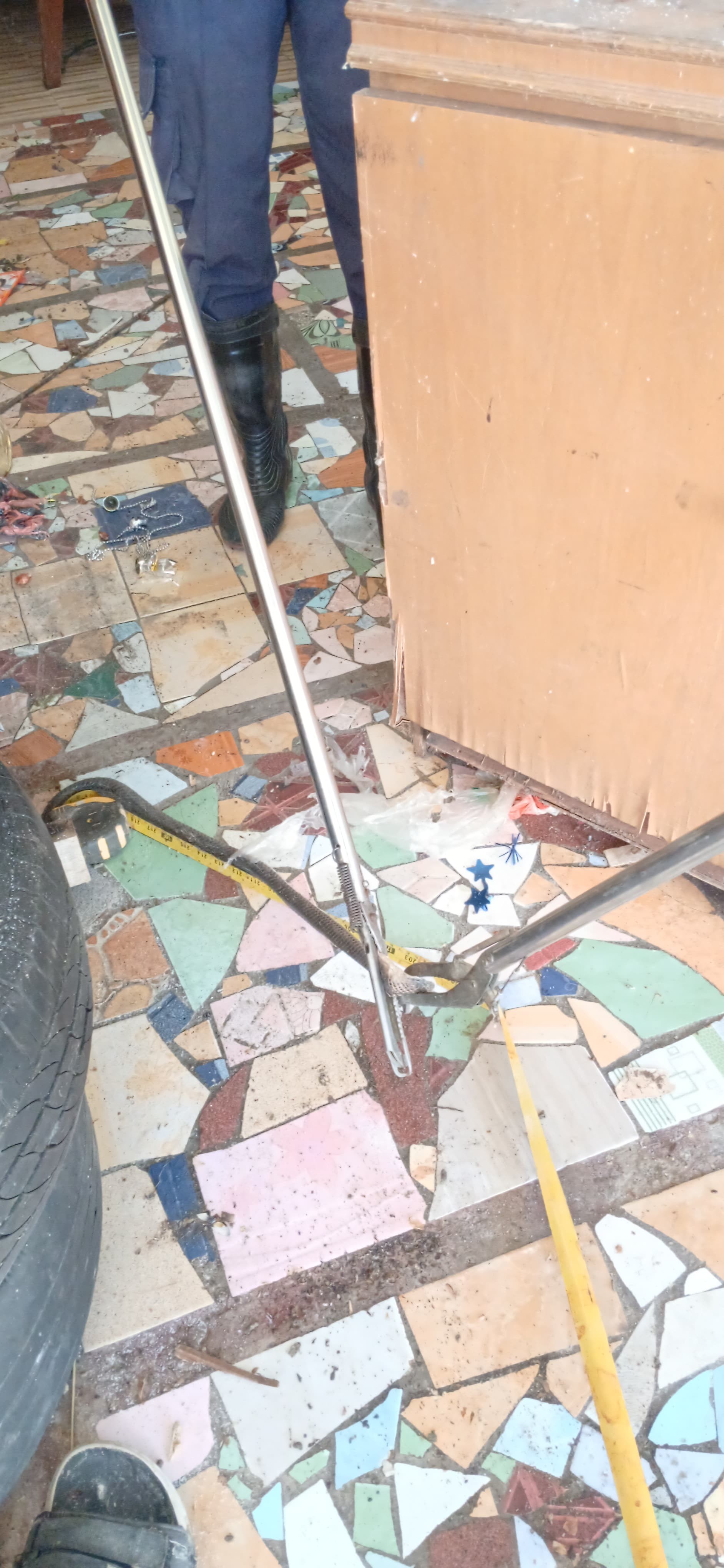 evakuasi seekor ular dirumah warga   Jl. Lapangan Tembak