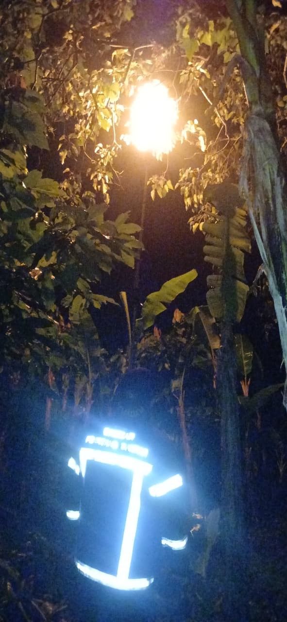 evakuasi Sarang Tawon di SMP Negeri 10  Jl. Setia Negara
