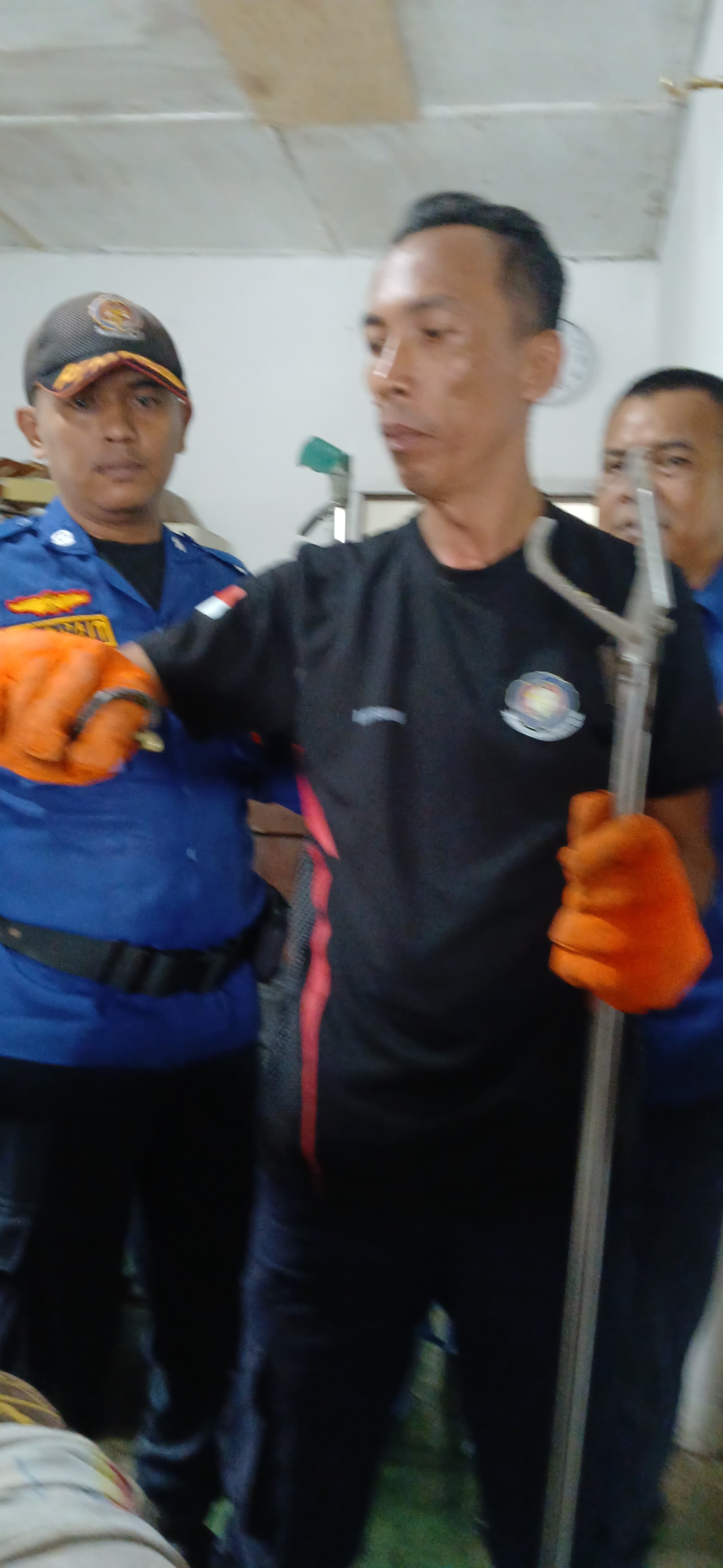 Personil Dinas Pemadam Kebakaran dan Penyelamatan berhasil mengevakuasi Seekor ular dirumah warga