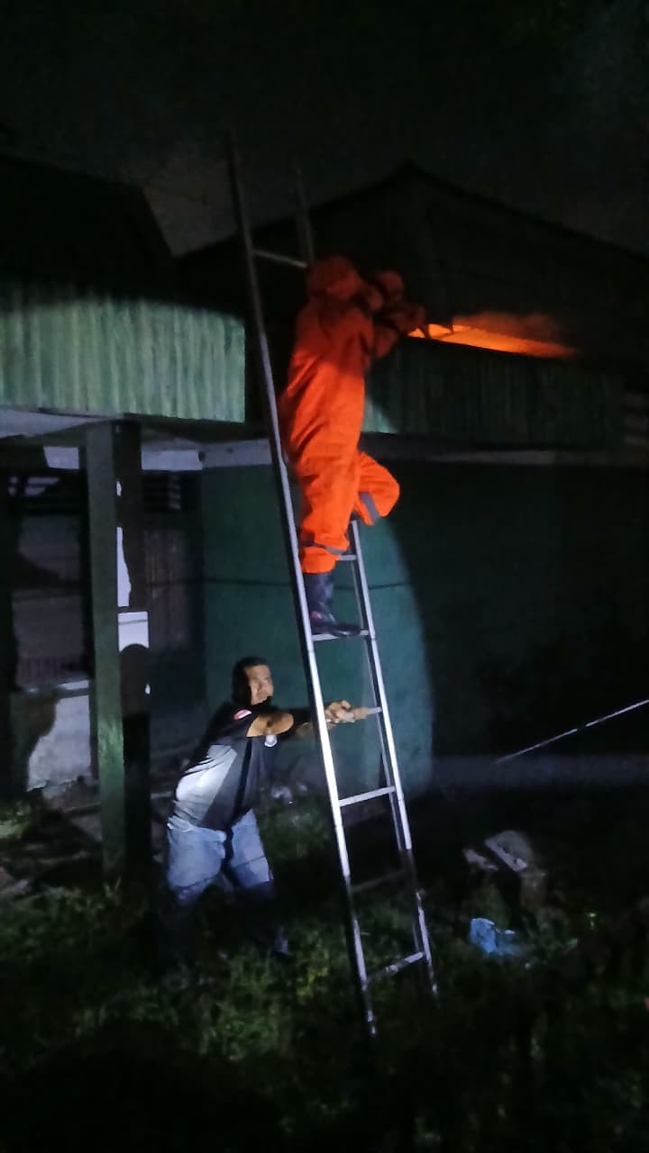 evakuasi sarang tawon di Jl. Rajamin Purba