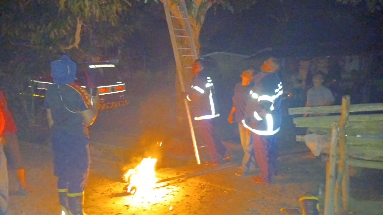 Personil Dinas Pemadam Kebakaran dan Penyelamatan berhasil mengevakuasi sarang tawon di Jl. Simpan