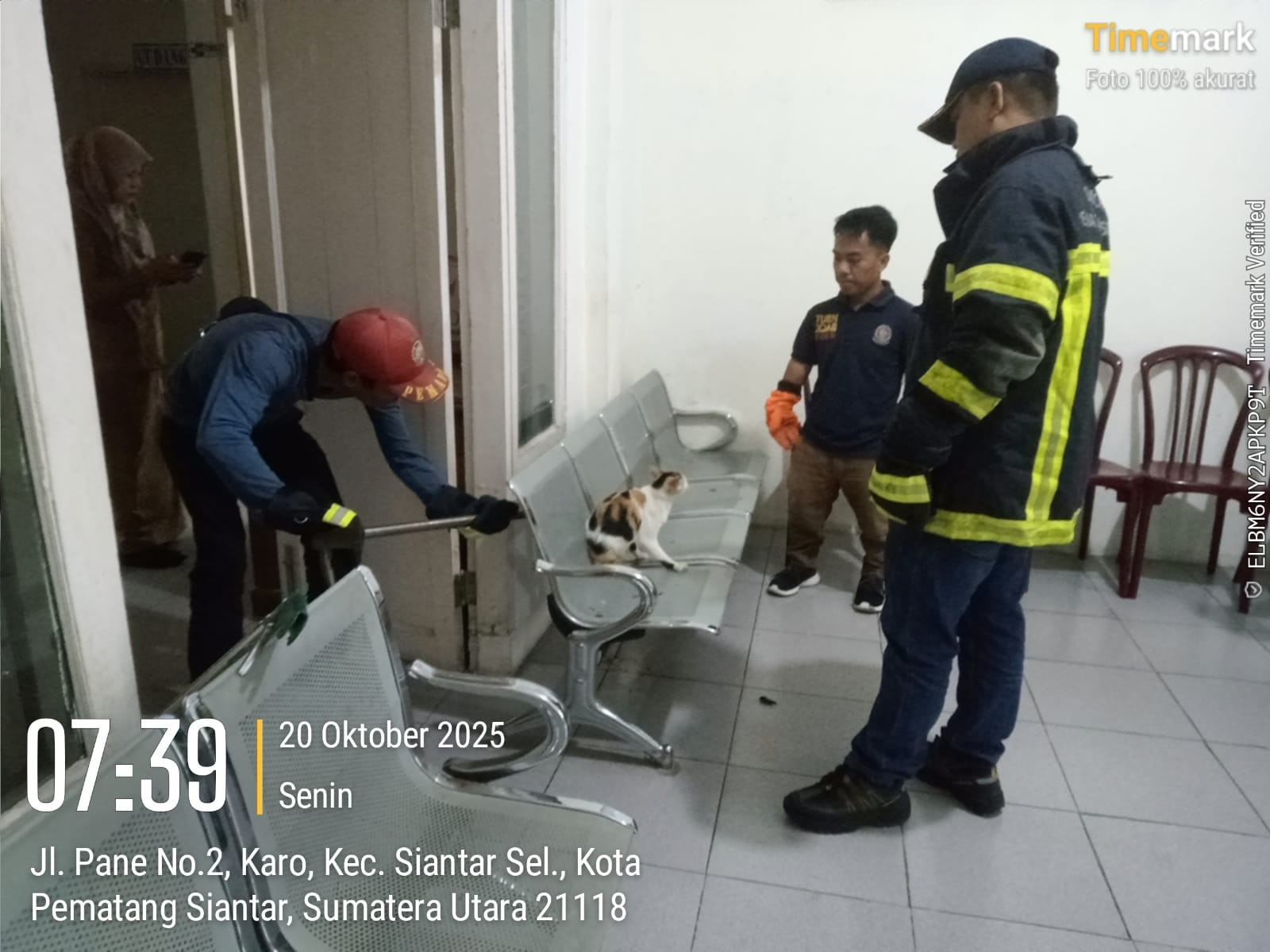 Personil Dinas Pemadam Kebakaran dan Penyelamatan berhasil mengevakuasi seekor kucing yabg terjepit 