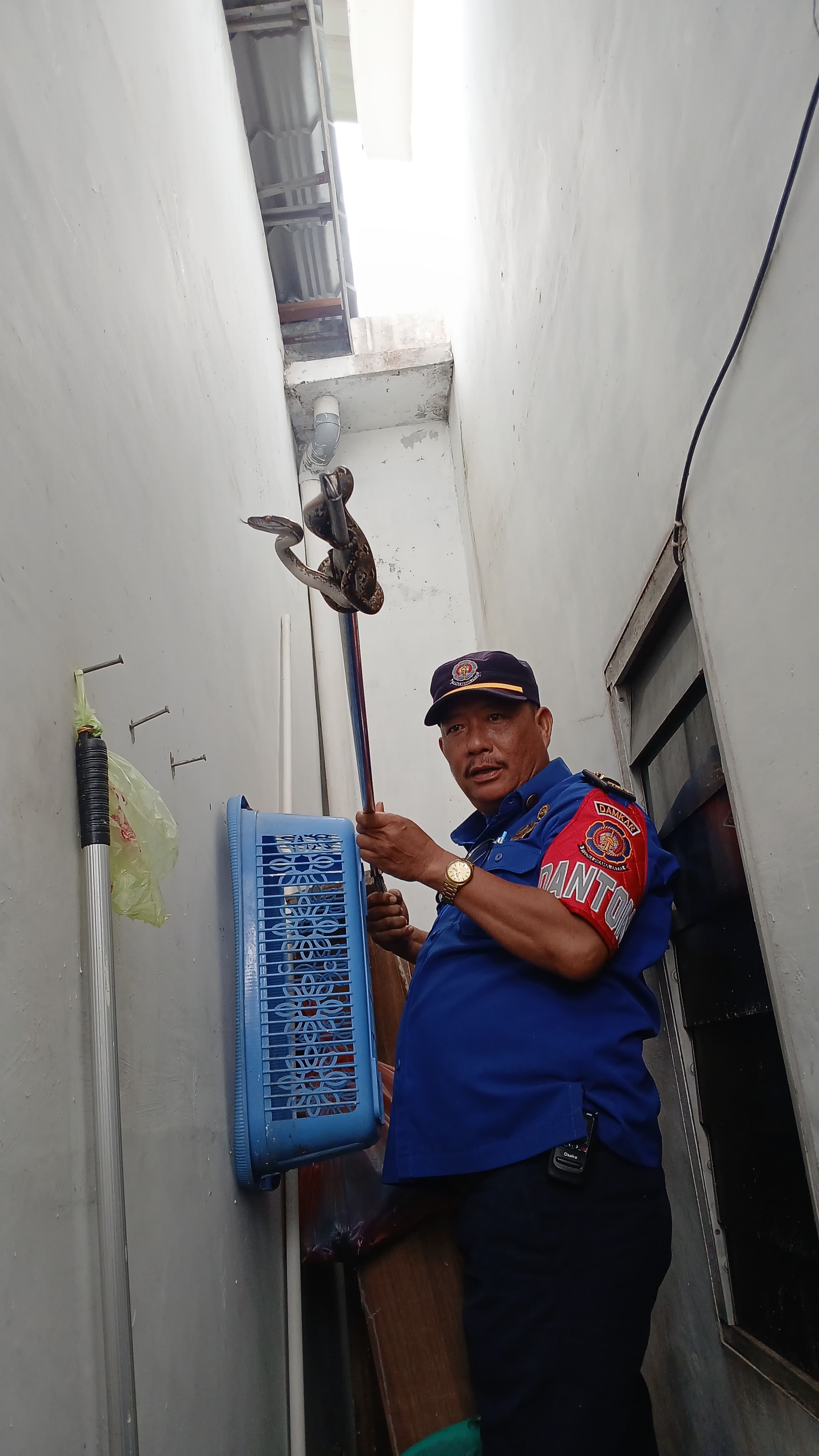 Personil Dinas Pemadam Kebakaran dan Penyelamatan berhasil mengevakuasi seekor ular di rumah warga