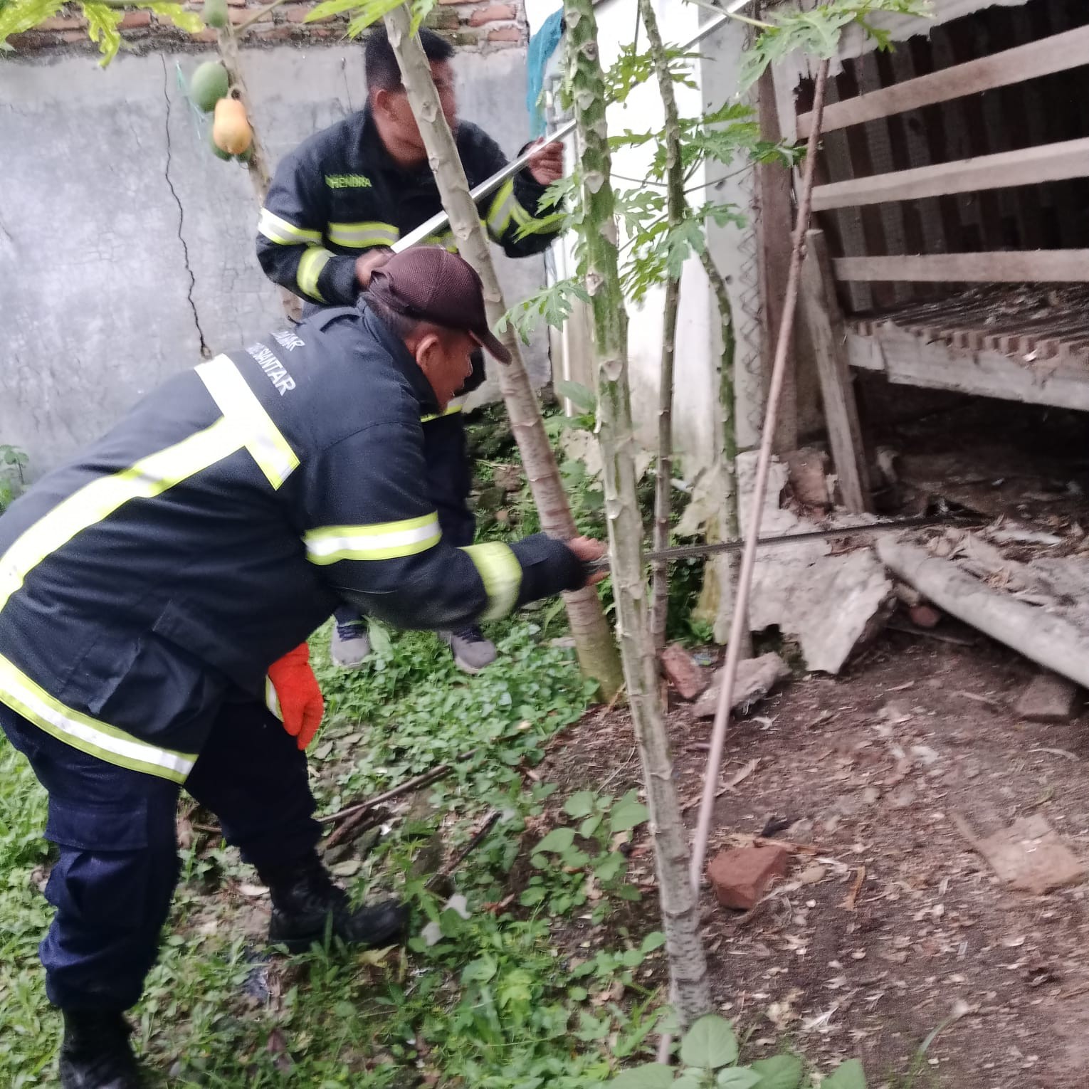 Personil Dinas Pemadam Kebakaran dan Penyelamatan menerima informasi adanya ular di rumah warga Kel