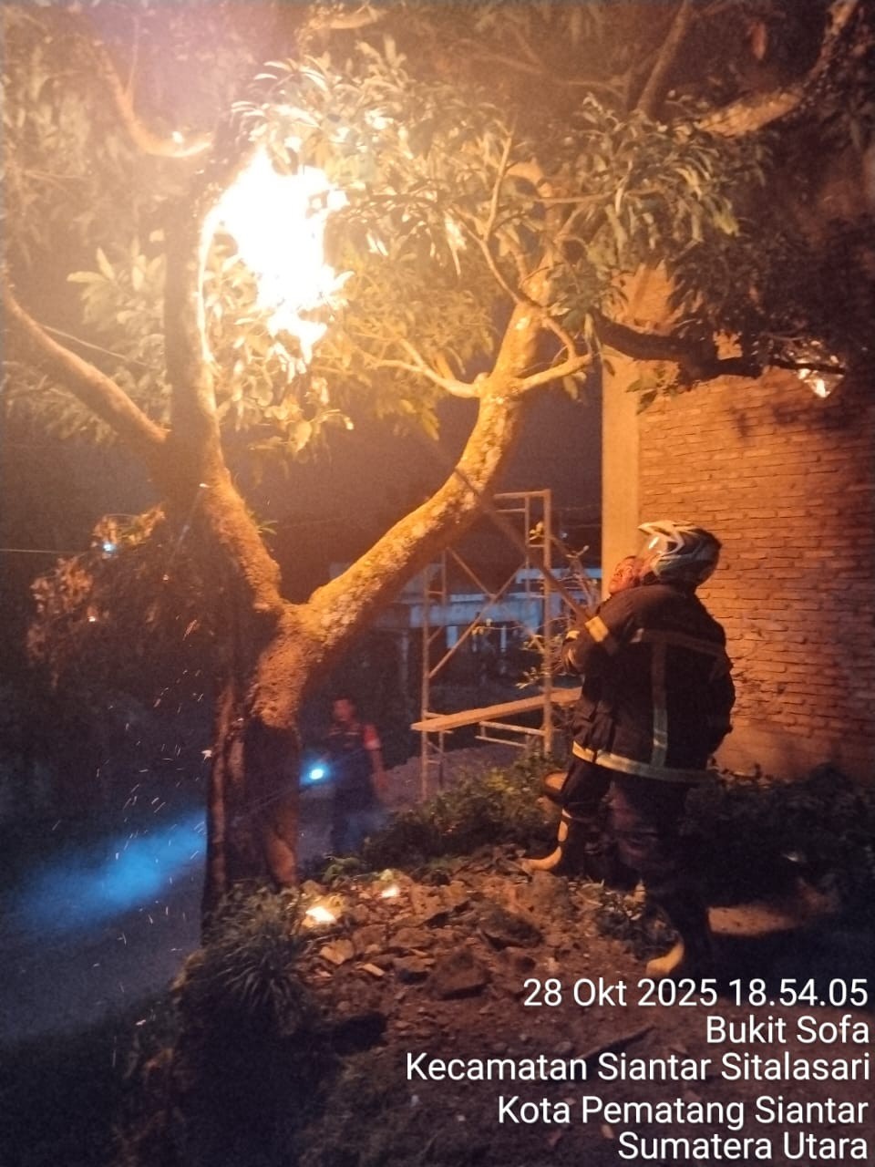 Personil Dinas Pemadam Kebakaran dan Penyelamatan berhasil mengevakuasi sarang tawon di   Jl. Pleton