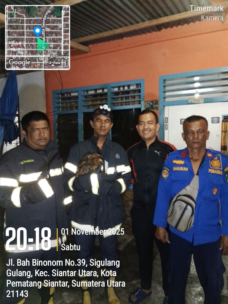 Personil Dinas Pemadam Kebakaran dan Penyelamatan berhasil mengevakuasi Burung Hantu di   Jl. Bah Bi