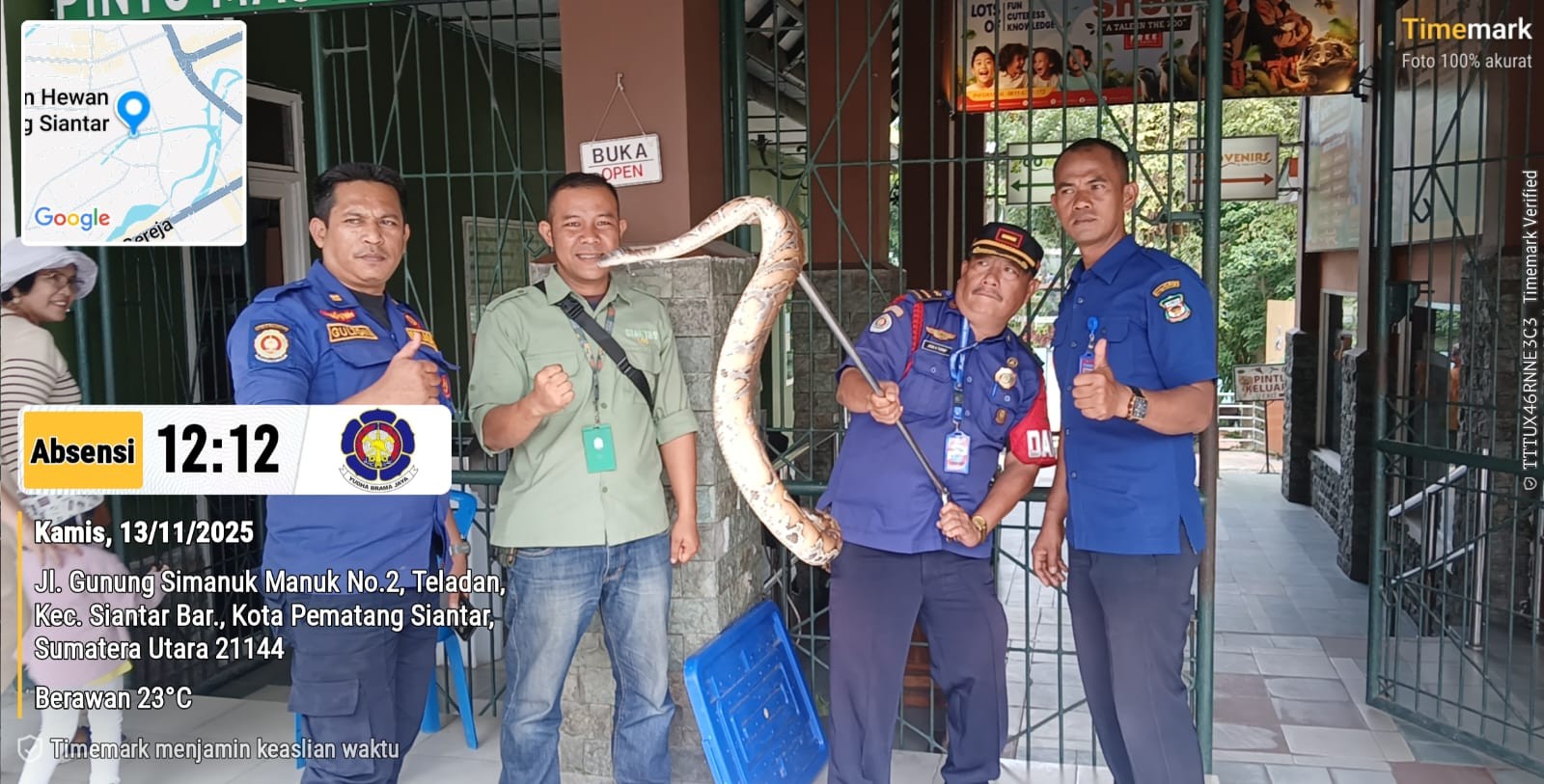 Personil Dinas Pemadam Kebakaran dan Penyelamatan berhasil mengevakuasi seekor ular di pekarangan ru