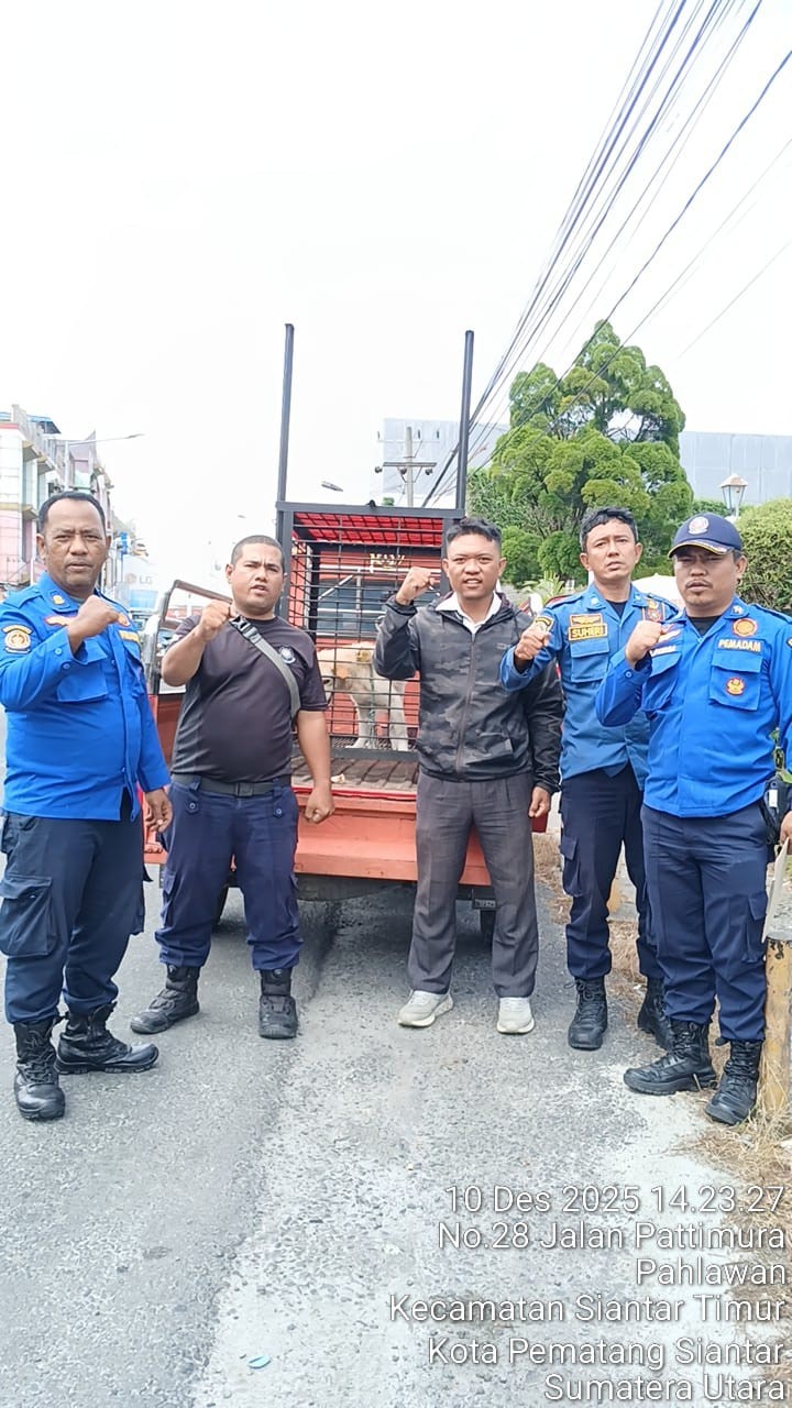 Personil Dinas Pemadam Kebakaran dan Penyelamatan berhasil mengevakuasi seekor anjing liar di  Jl. P