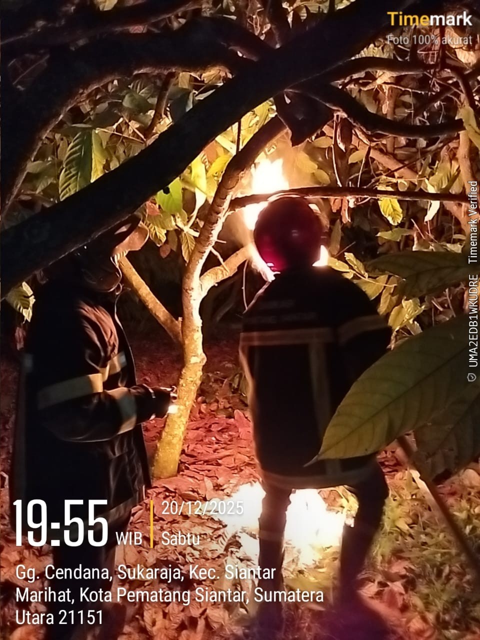 Personil Dinas Pemadam Kebakaran dan Penyelamatan berhasil mengevakuasi sarang tawon di halaman ruma