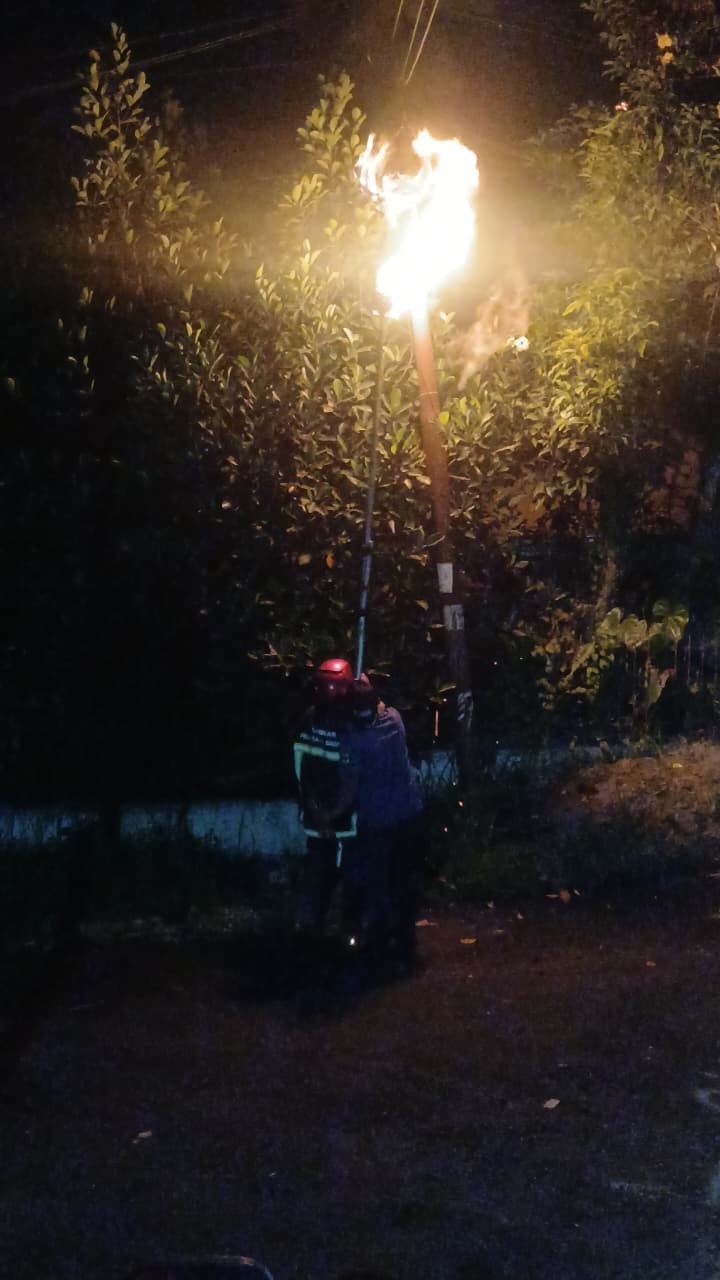 Personil Dinas Pemadam Kebakaran dan Penyelamatan berhasil mengevakuasi sarang tawon di  Jl. Mars