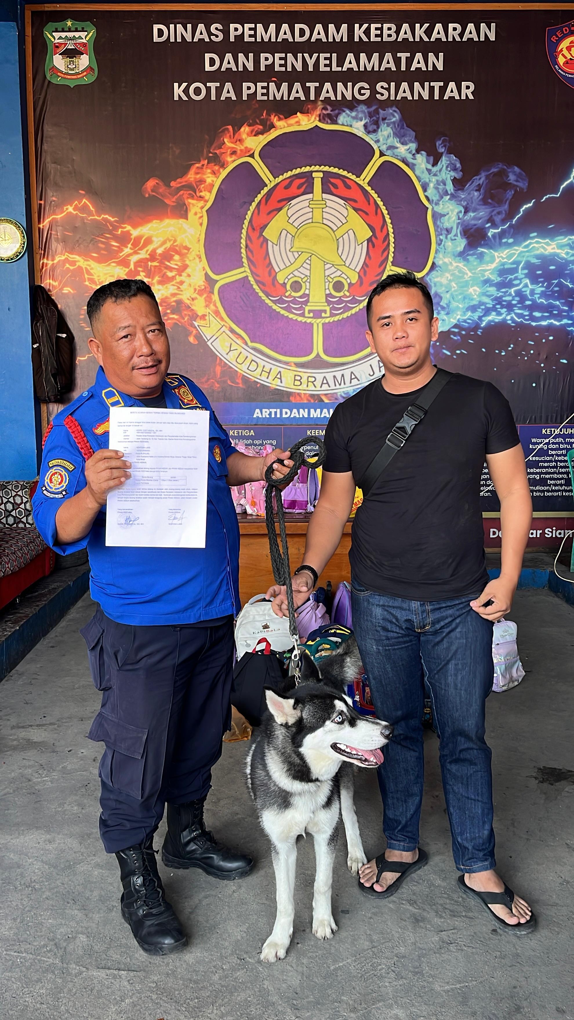 Personil Dinas Pemadam Kebakaran dan Penyelamatan menyerahkan seekor anjing Husky kepada pemiliknya 