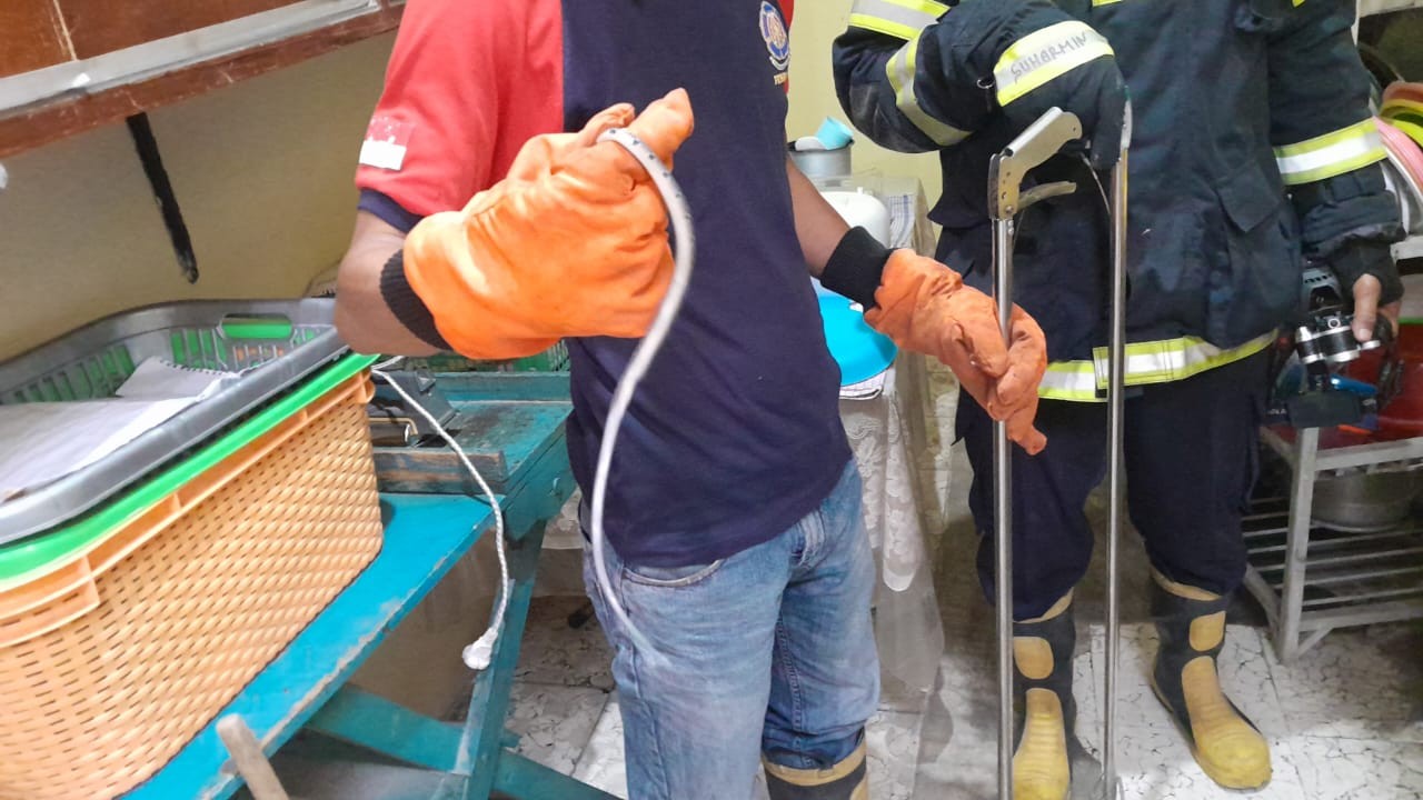 Personil Dinas Pemadam Kebakaran dan Penyelamatan berhasil mengevakuasi  ular di rumah warga  Jl. Pa