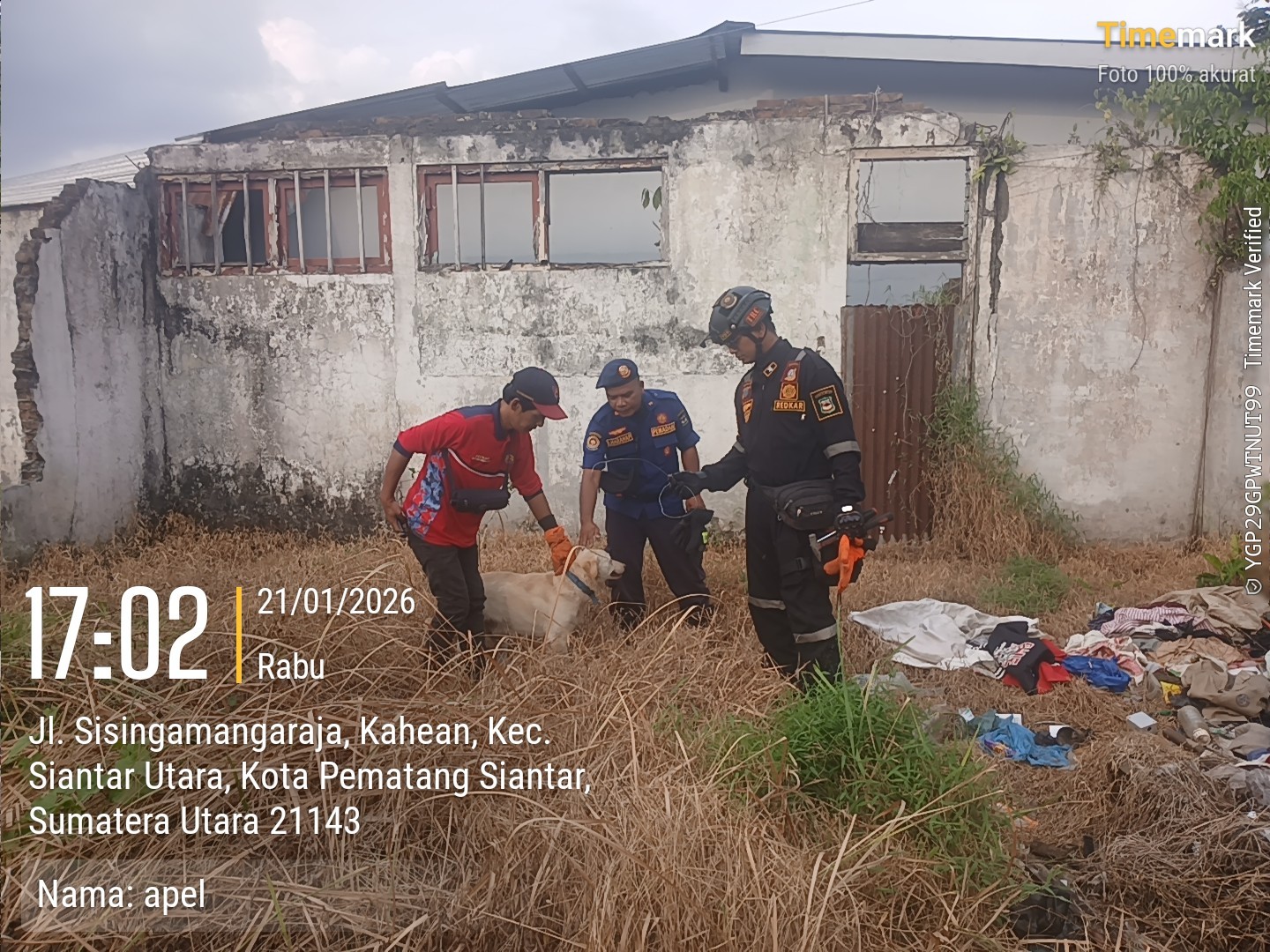 Personil Dinas Pemadam Kebakaran dan Penyelamatan berhasil mengevakuasi kawat yang melilit leher 