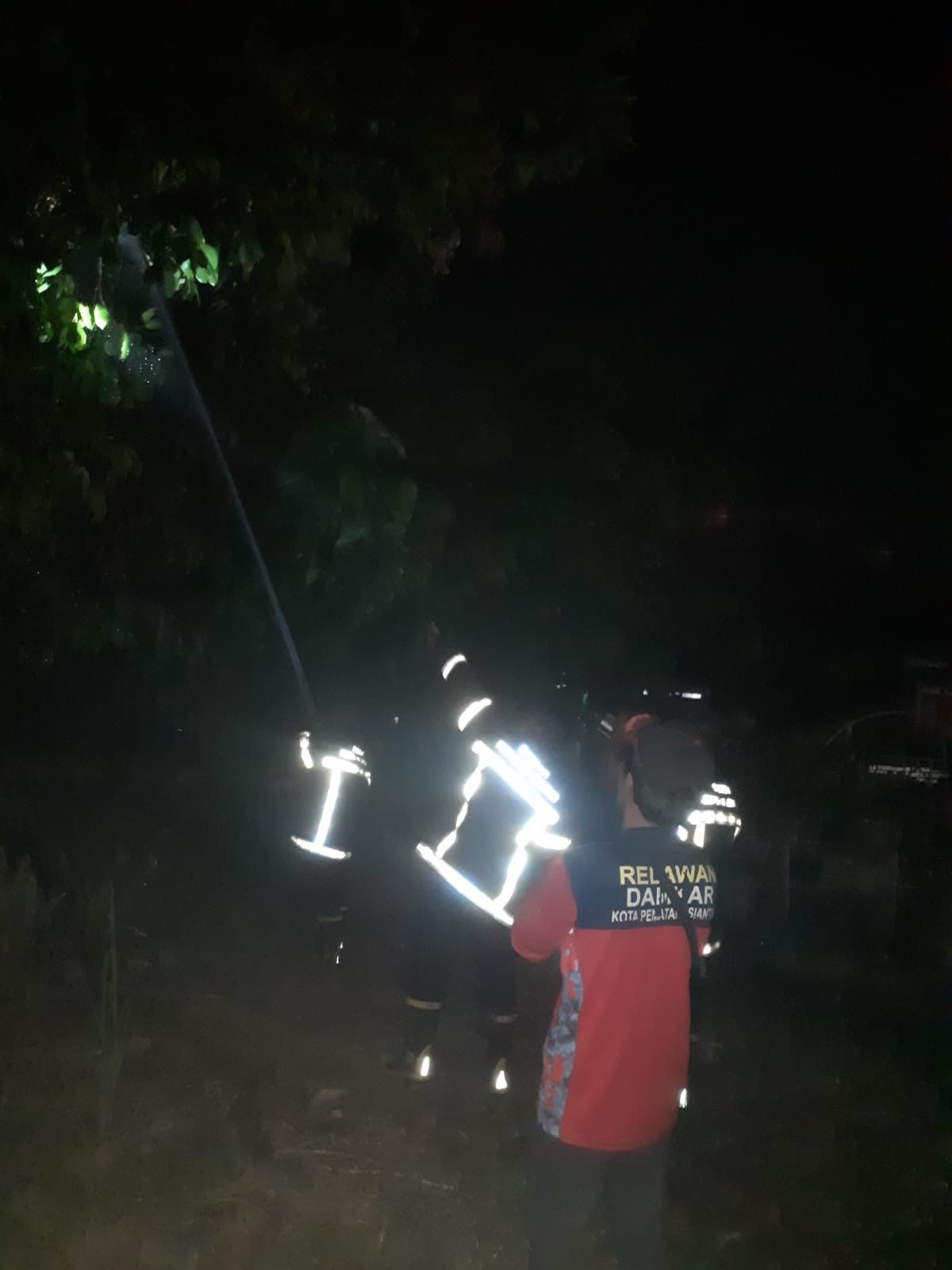 Personil Dinas Pemadam Kebakaran dan Penyelamatan berhasil mengevakuasi Sarang Tawon di halaman ruma