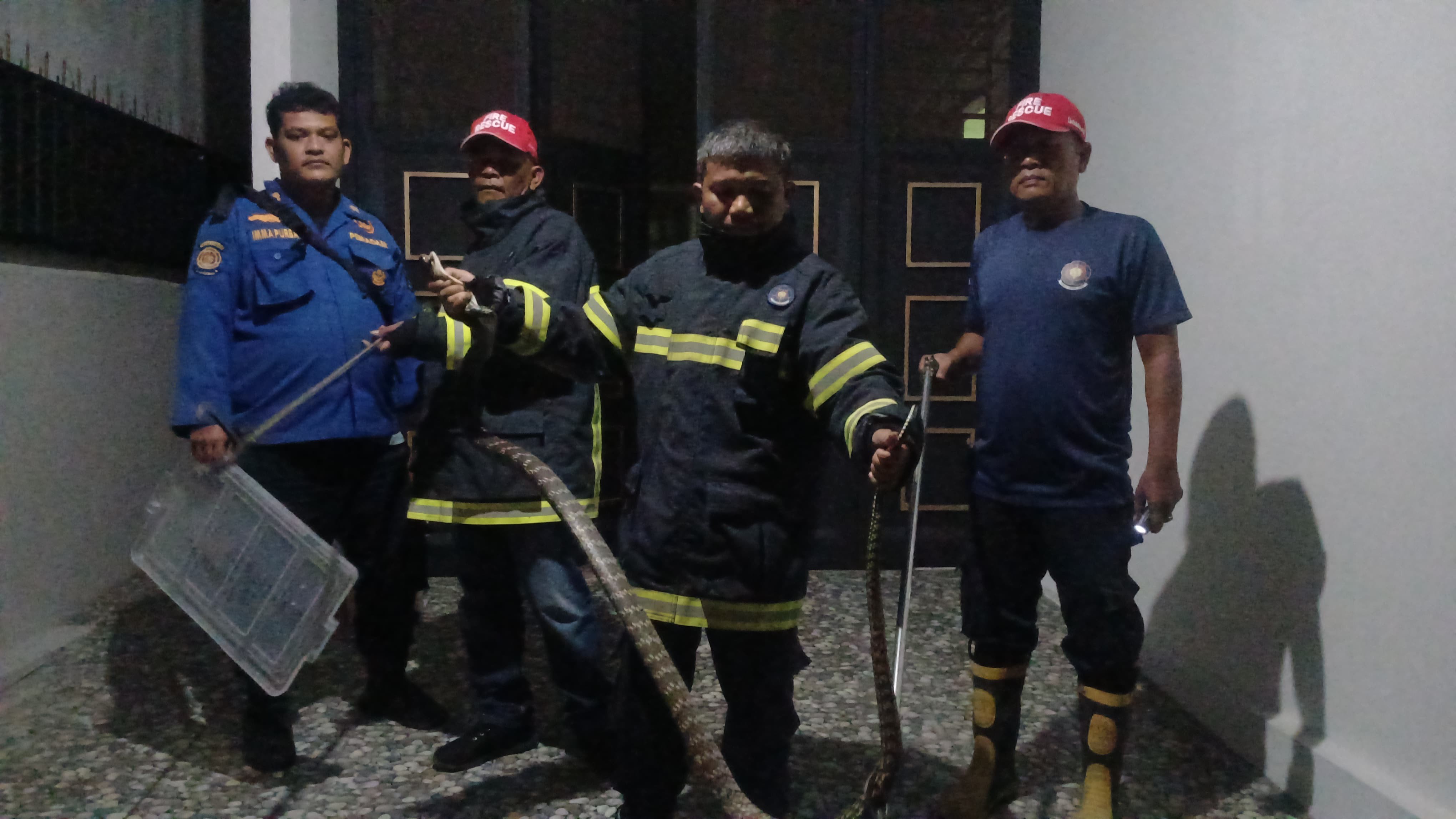 evakuasi ular di rumah warga  Jl. Purba