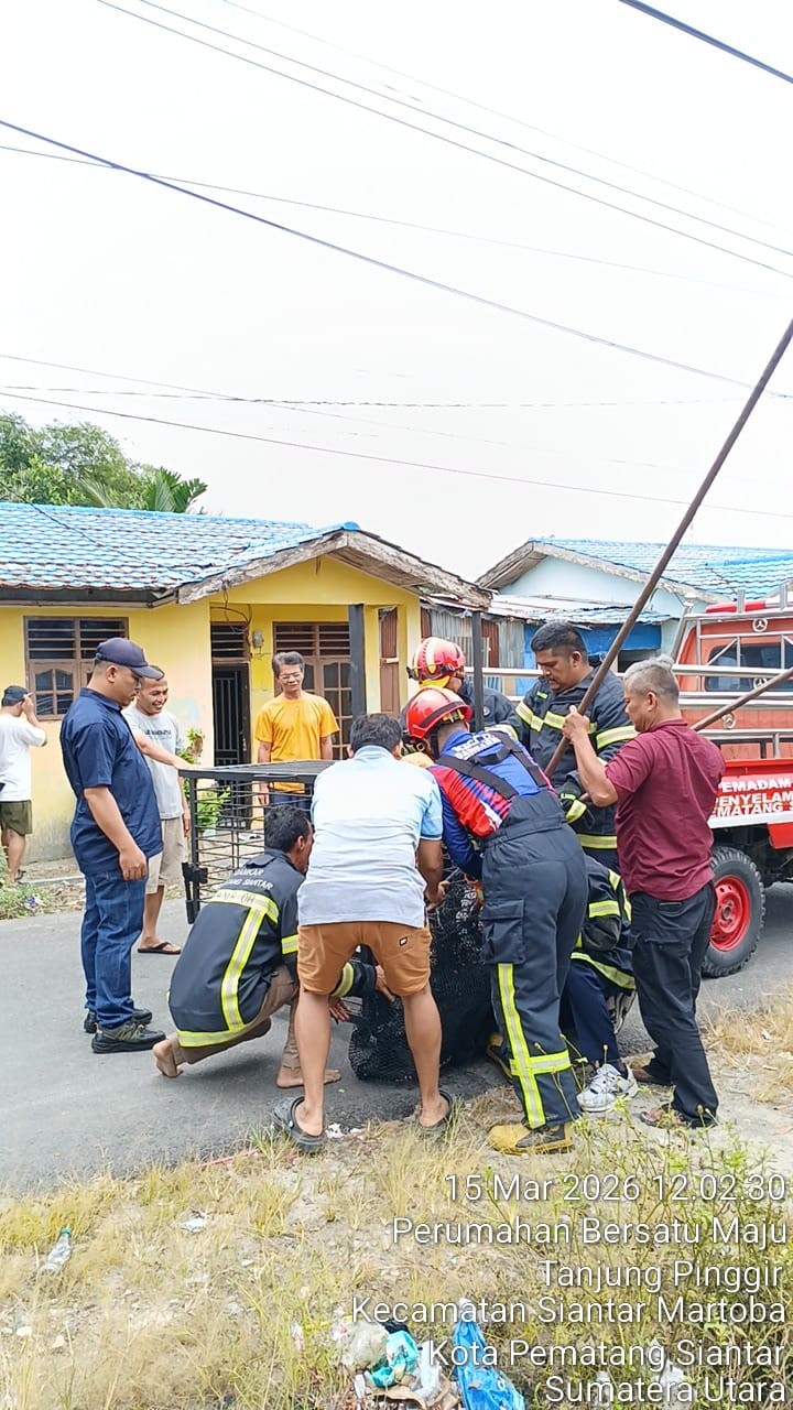 evakuasi seekor anjing yang menyerang warga di Perumahan Bersatu Maju  Jl. PDT Wismar Saragih