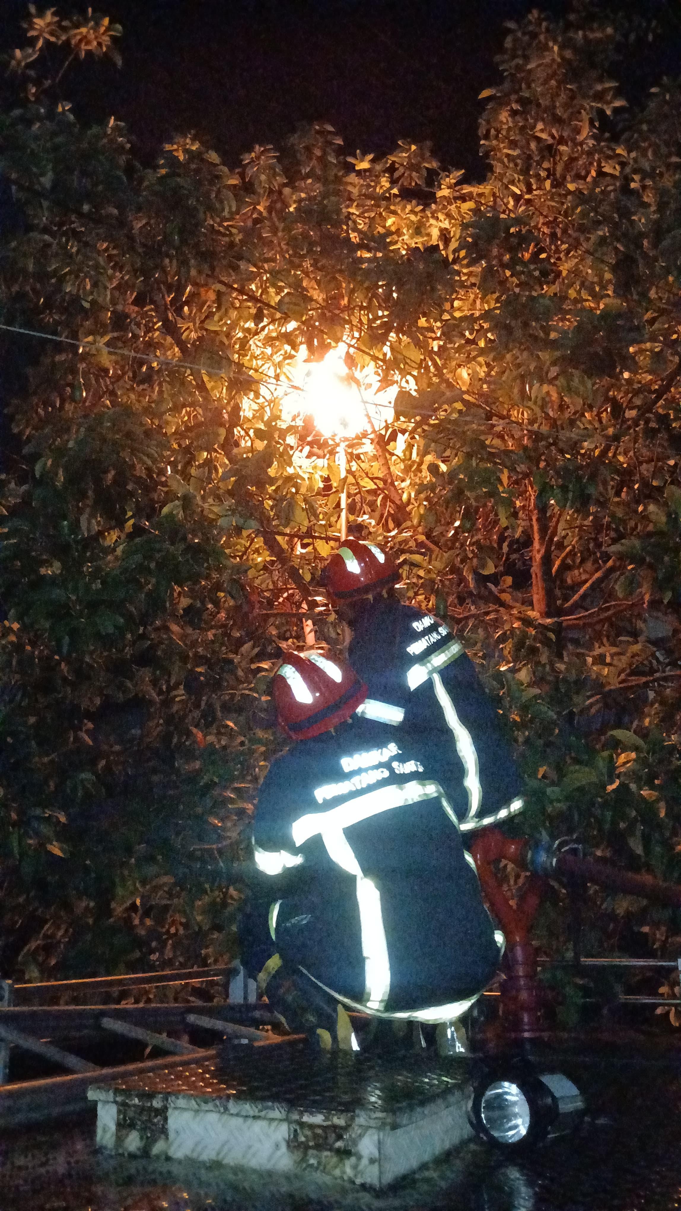 evakuasi sarang tawon di  Jl. Linggar Jati 