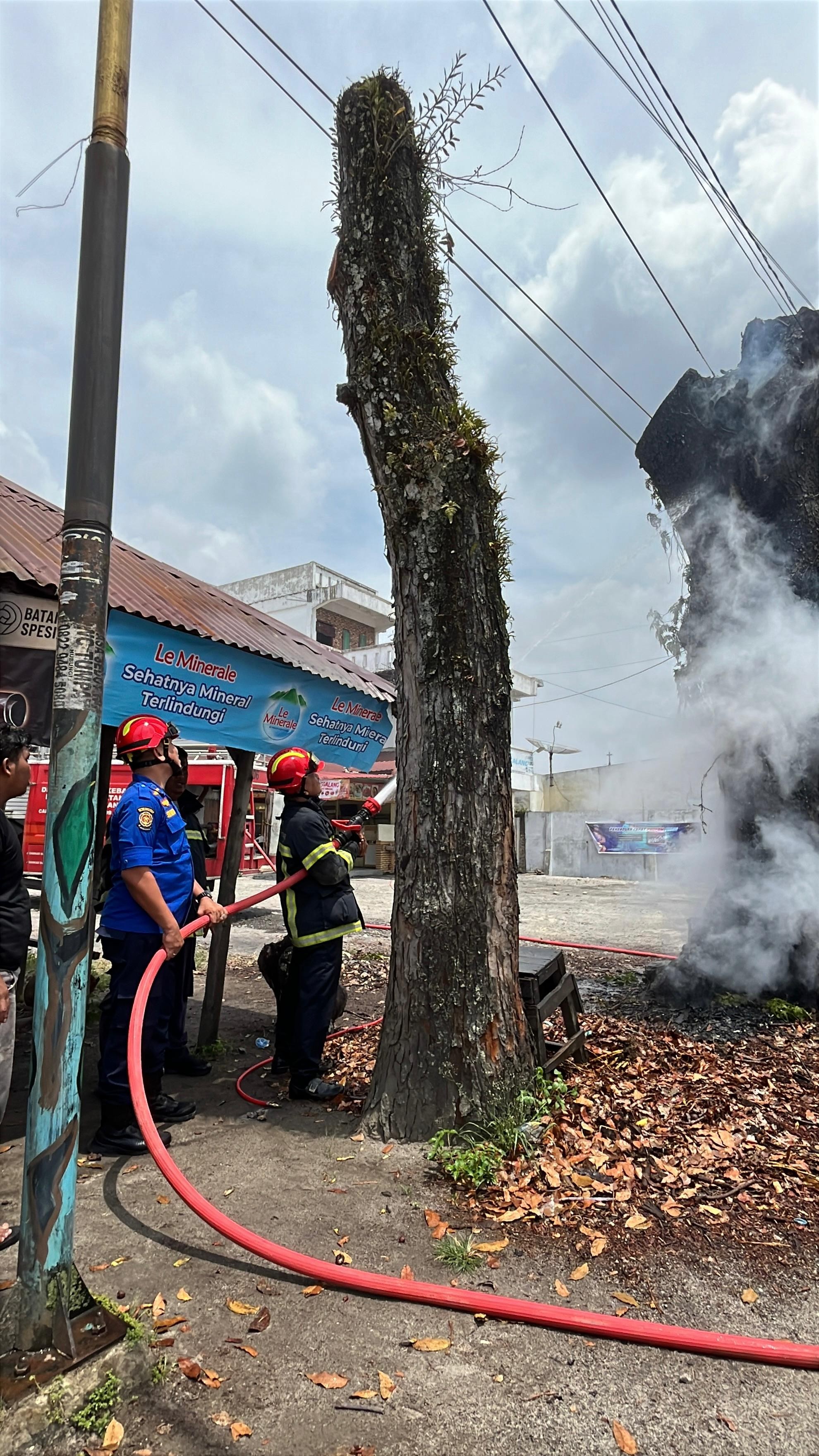 pemadaman kebakaran Pohon di   Jl. Parapat 