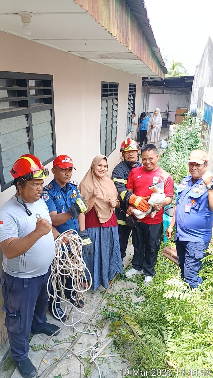 evakuasi seekor kucing yang terjebak di dalam tembok di   Jl. Venus