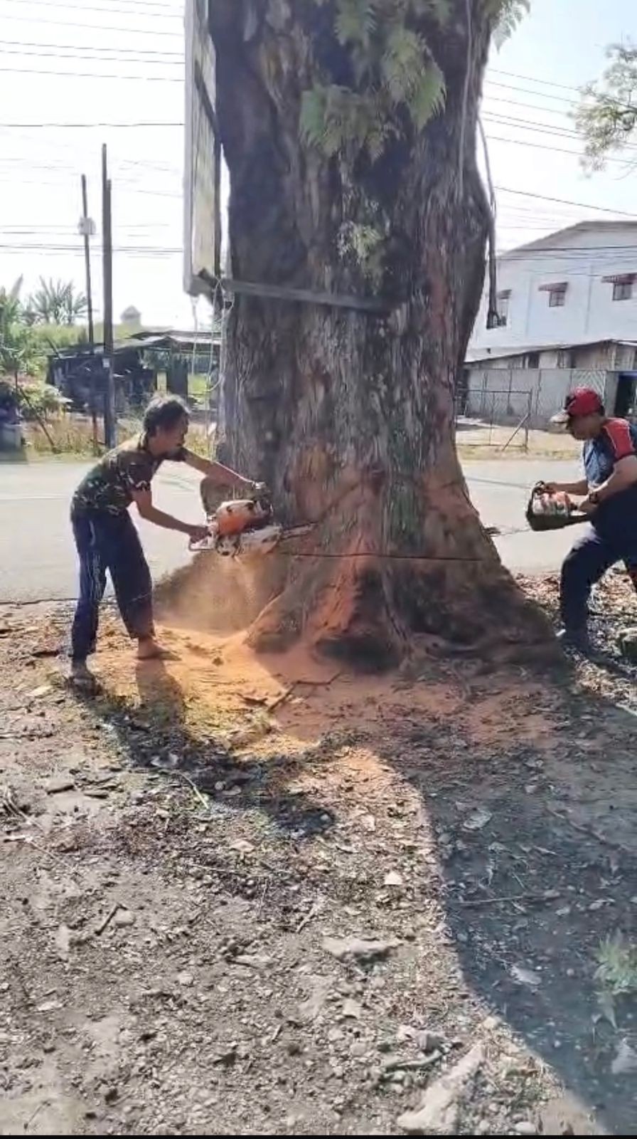 Personil Dinas Pemadam Damkar Siantar dan Dinas PRKP melaksanakan penebangan dan pemadaman kebakaran