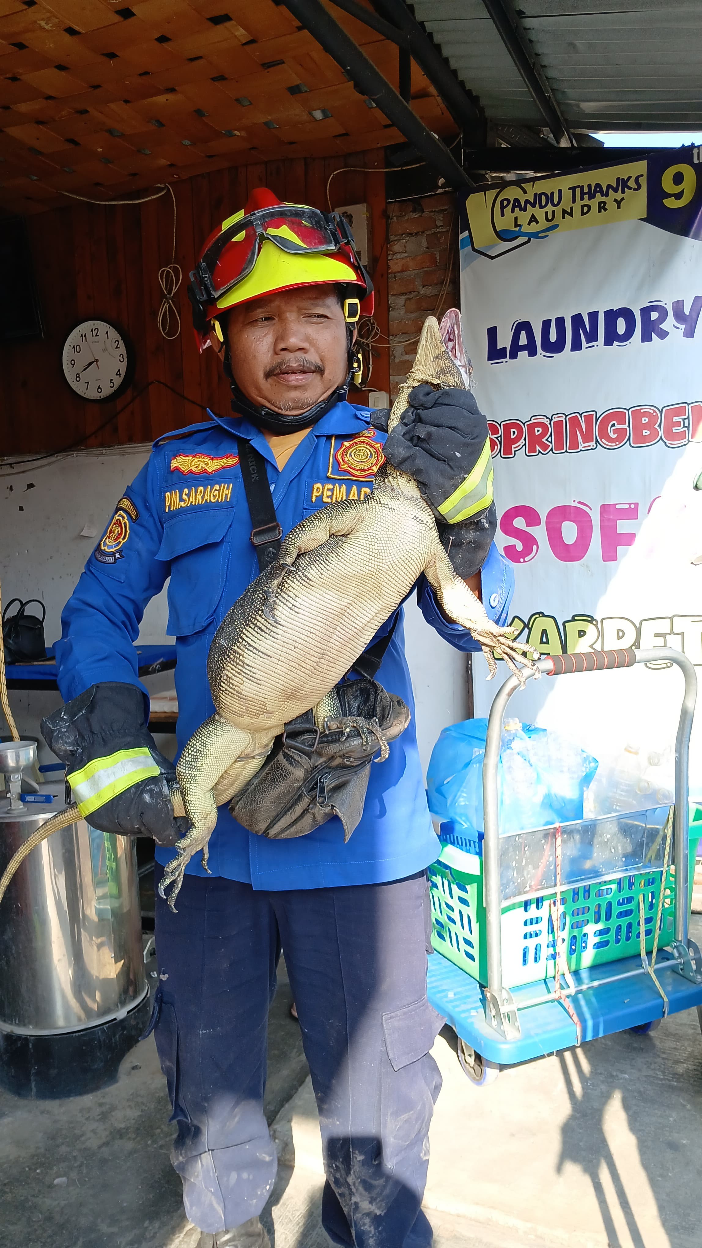 evakuasi seekor biawak di   Jl. Vihara