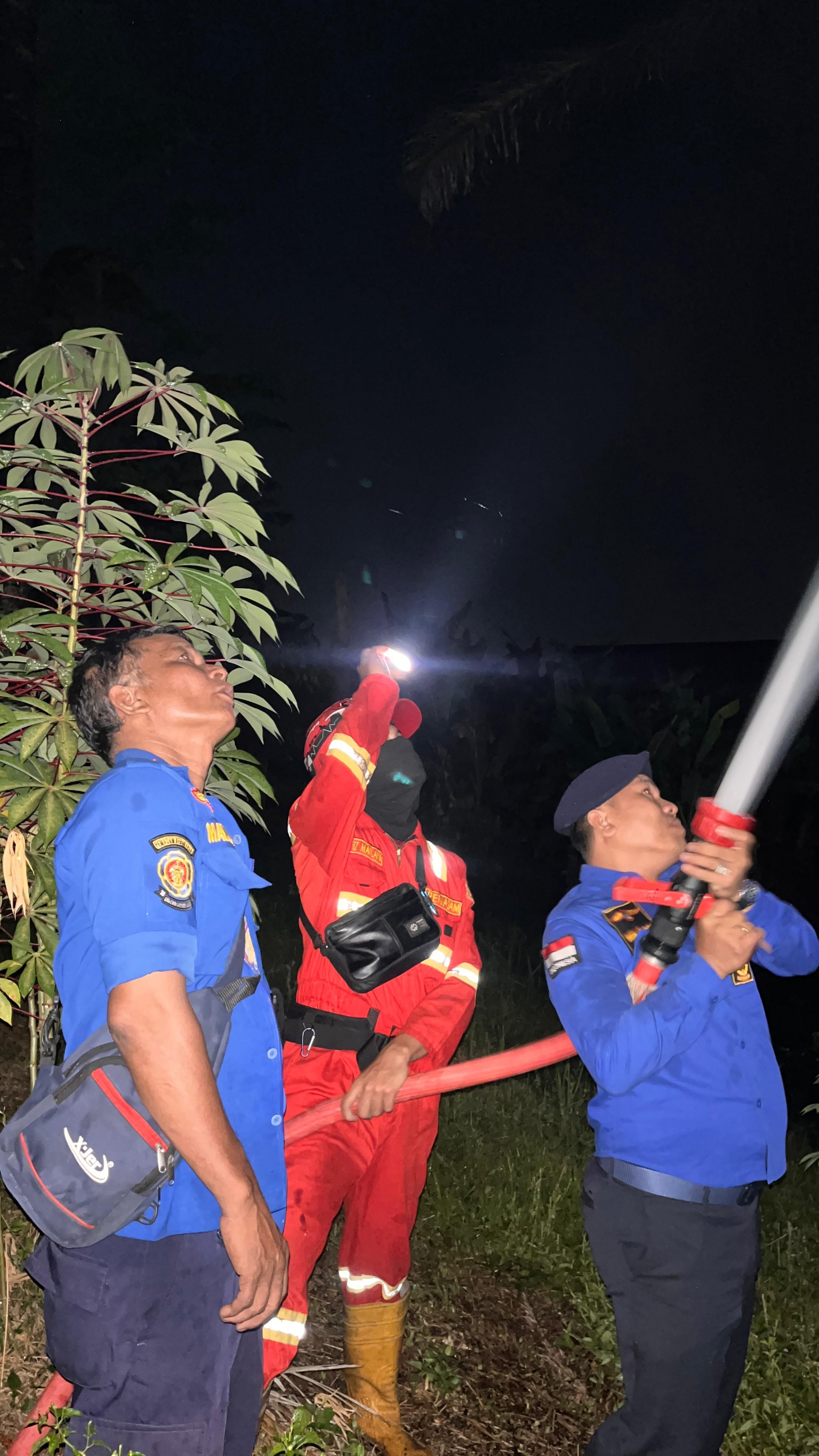 pemadaman kebakaran pohon sawit di  Jl. Haji Ulakma Sinaga