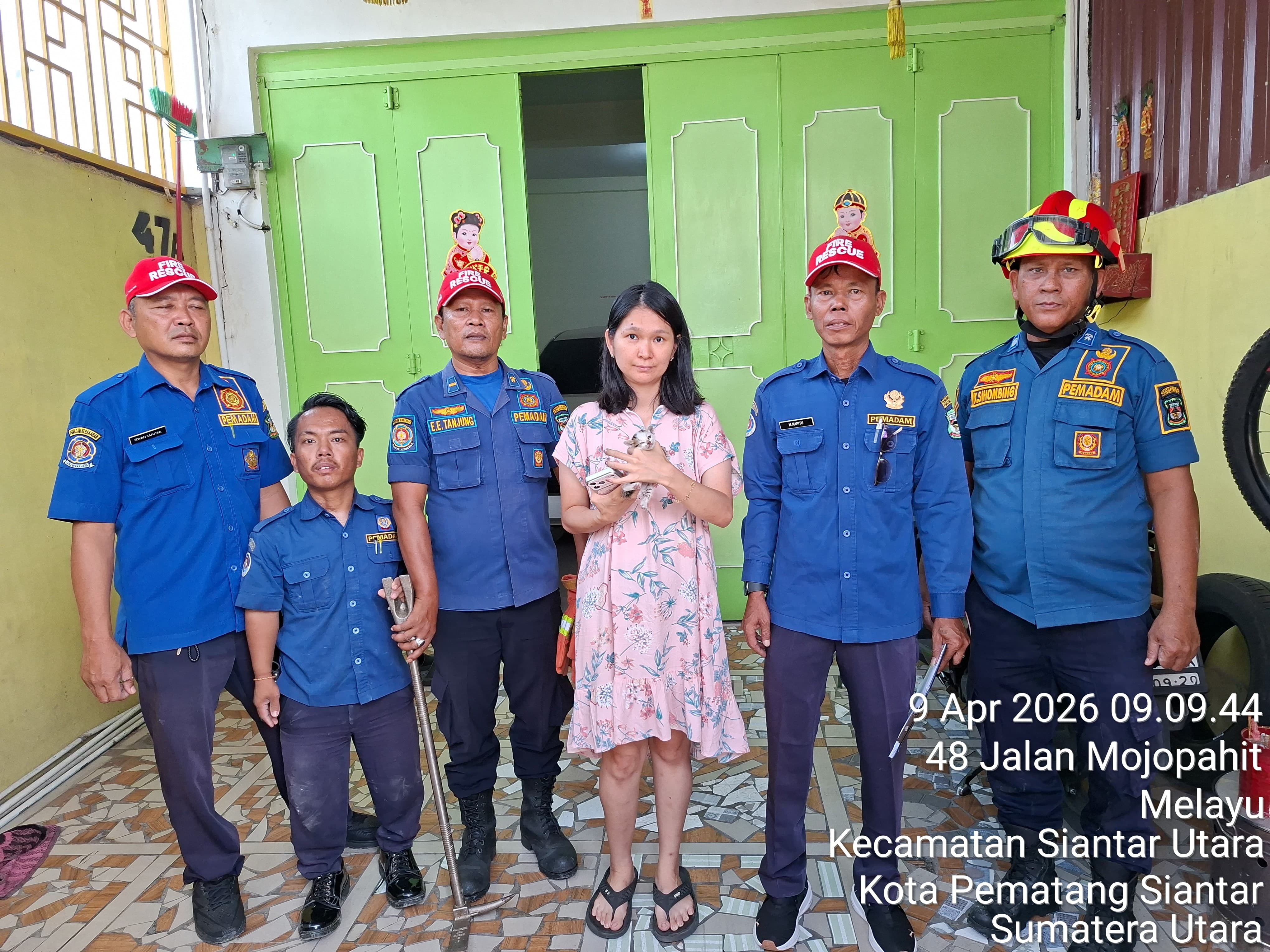 evakuasi seekor kucing di  Jl. Cokroaminoto gg Seika