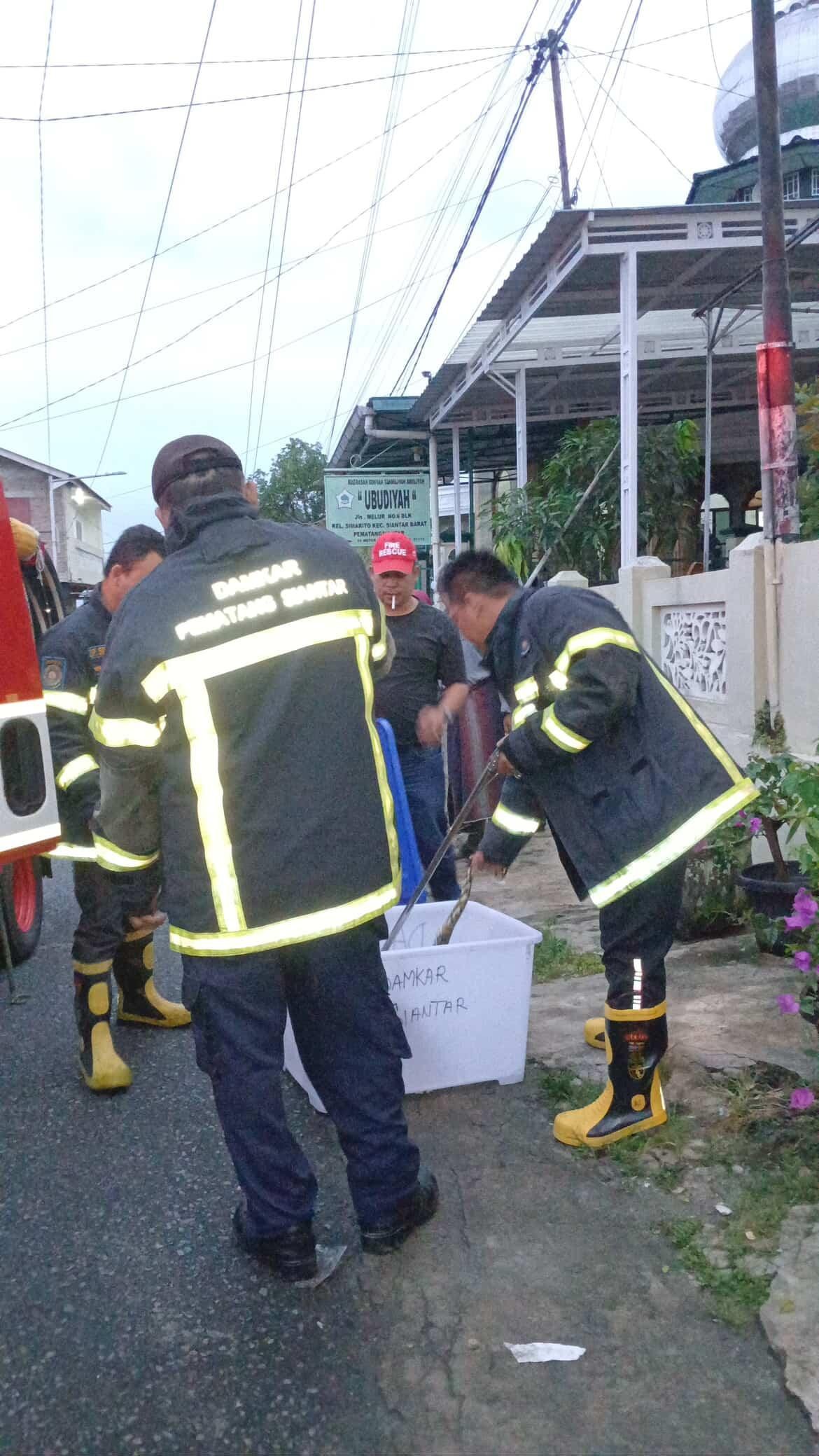 gevakuasi seekor ular di  Jl. Melur 
