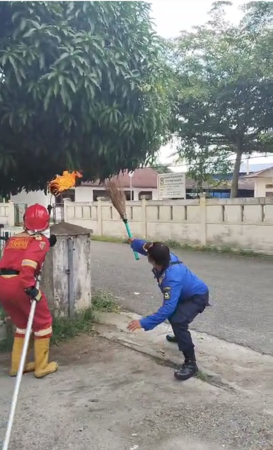 Evakuasi Sarang Tawon di Kantor BPBD Jl. Porsea