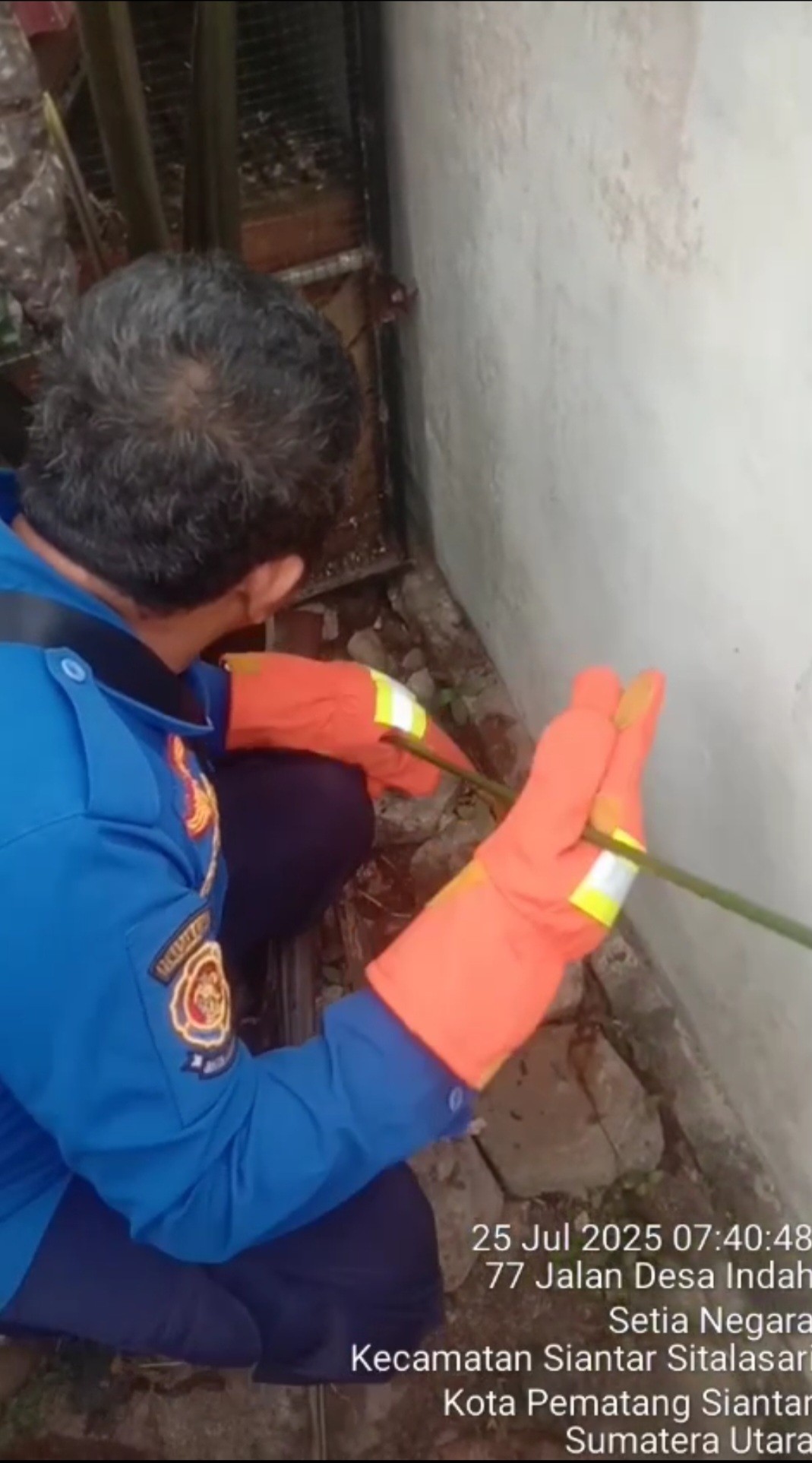 menerima informasi adanyaa ular di rumah warga yang beralamat di Jl. Desa Indah