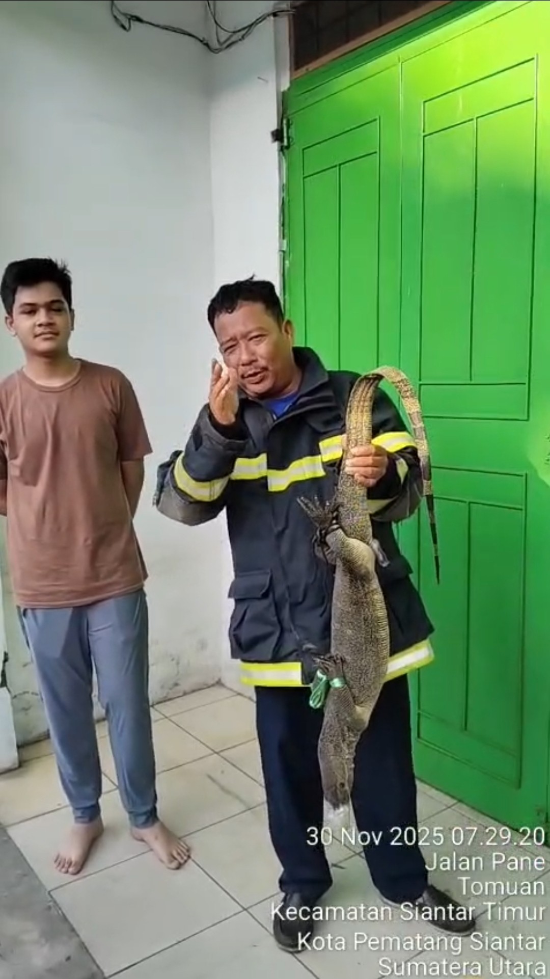 Personil Dinas Pemadam Kebakaran dan Penyelamatan berhasil mengevakuasi seekor biawak rumah warga   